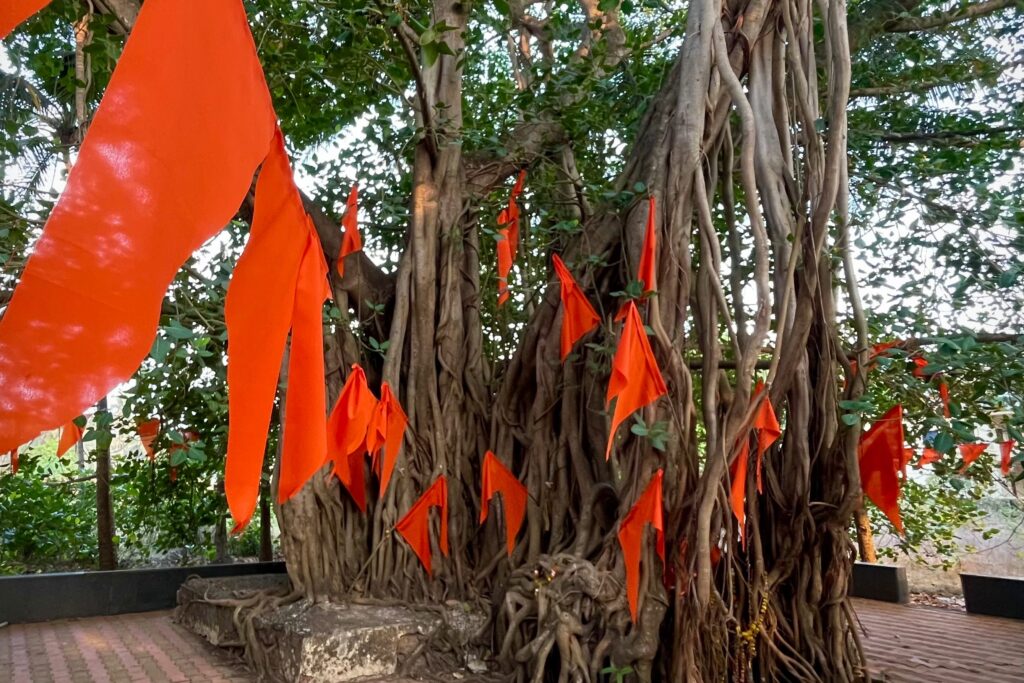 Finde dein Warum – Männerseminar zur Sinnfindung