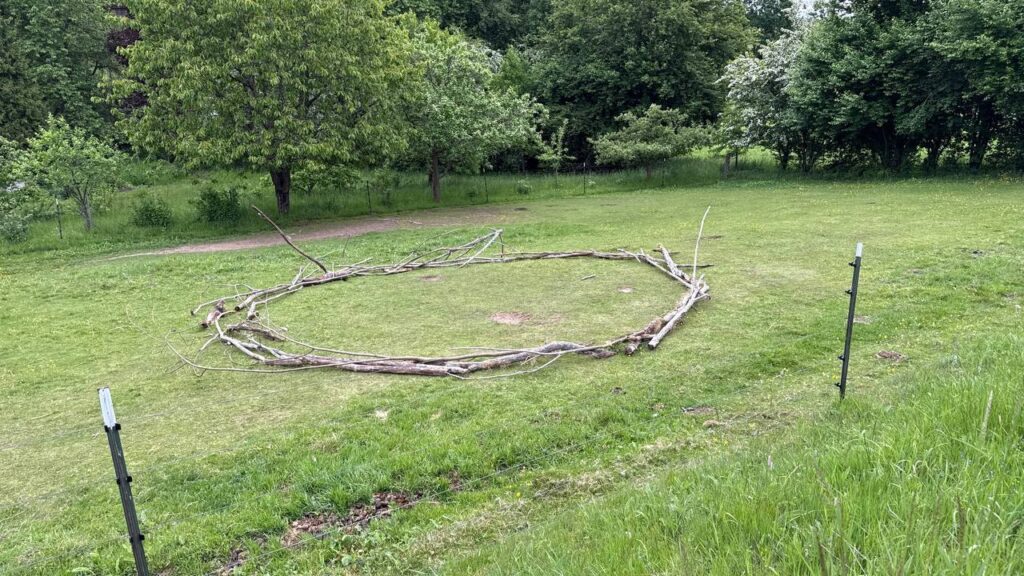 Echte Männerarbeit beginnt ohne Vergleiche. Warum stille Prozesse genauso heilsam sind und du im Retreat einfach du selbst sein darfst. Jetzt lesen!